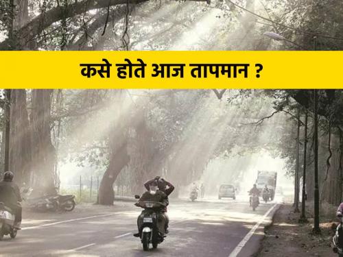 Although the minimum temperature has dropped in the state, it is above average | राज्यात किमान तापमान घसरले असले तरी सरासरीहून अधिक