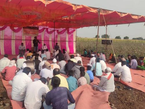 Farmers should not take cotton paddy and do Parhati Kutti - Dr. Kishore Zade | शेतकऱ्यांनी कापसाची फरदड घेऊ नये, पऱ्हाटी कुट्टी करावी - डॉ.किशोर झाडे