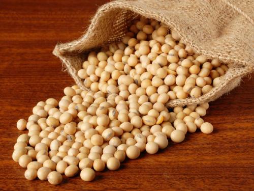 Soybean Market: Latur's yellow soybeans are fetching such a price, what is the situation in other places? | Soybean Market: लातूरच्या पिवळ्या सोयाबीनला मिळतोय सध्या एवढा भाव, उर्वरित ठिकाणी काय स्थिती?
