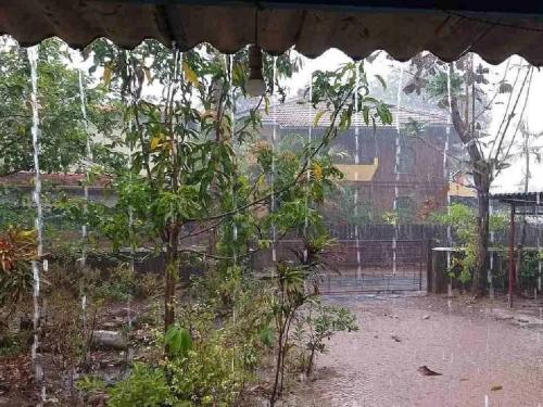 Heavy rains in three circles in Hingoli, farmers satisfied with rains | हिंगोलीतील तीन मंडळांत अतिवृष्टी, शेतकऱ्यांमध्ये पावसामुळे समाधान