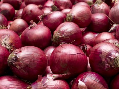 Auction of 536 onions today in Vinchoor Bazaar Committee | विंचूर उपबाजार समितीत आज ५३६ नग कांद्याचा लिलाव