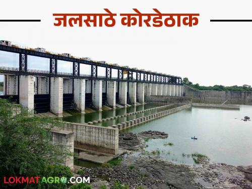 Water Scarcity: Jhal is reaching the bottom as the water reservoir has reached the bottom, Vishnupuri has reached the bottom | Water Scarcity: जलसाठ्याने तळ गाठल्याने पोहोचतेय झळ, विष्णूपूरी तळाला