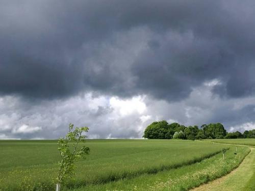 Chhatrapati Sambhajinagar district likely to rain with stormy winds, what should farmers do? | छत्रपती संभाजीनगर जिल्ह्यात वादळी वाऱ्यासह पावसाची शक्यता, शेतकऱ्यांनी काय करावे?