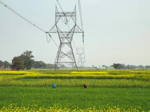 Electricity consumption of agriculture sector at 37.1 percent in last ten years | कृषी क्षेत्राचा विजेचा वापर मागील दहा वर्षात ३७.१ टक्क्यांवर