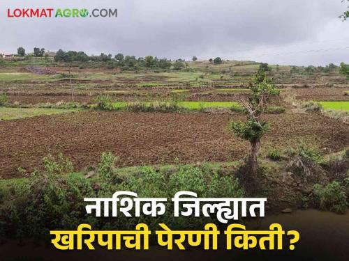 Latest News What percentage of kharif sowing was done in Nashik district with paddy crop | Kharif Season : भात लागवड खोळंबली, नाशिक जिल्ह्यात किती टक्के पेरणी झाली? वाचा सविस्तर 