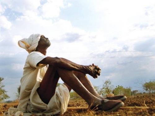 The rain has gone, life is hanging! The white sky increased the pulse of the farmers | पाऊस गेला, जीव टांगणीला! पांढऱ्या आकाशाने शेतकऱ्यांचे ठोके वाढले