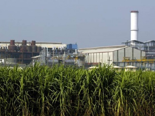 Sugar mills should focus on production of alternative biofuels along with sugar | साखर कारखान्यांनी साखरेबरोबरच पर्यायी जैविक इंधन निर्मितीवर भर द्यावा