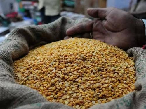 Toor gulped for five hundred rupees; Even the soybeans do not move forward, what is going on dear? | तूर पाचशे रुपयांनी घरंगळली; सोयाबीनही पुढे सरकेना, काय चाललाय भाव?