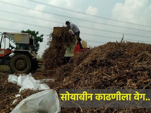 Farmers are worried because they cannot afford the speed of soybean harvesting and the rent of the threshing machine | सोयाबीन काढणीला वेग, मळणी यंत्राचे भाडे परवडत नसल्याने शेतकरीवर्ग चिंतेत