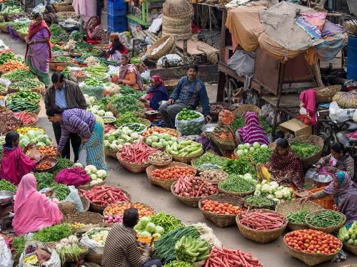 Eggplant has become rich, tomato has grown mercury, papaya has become matimol...! | वांग्याचे झाले भरीत, टोमॅटोचा चढला पारा, पपई झाली मातीमोल...!