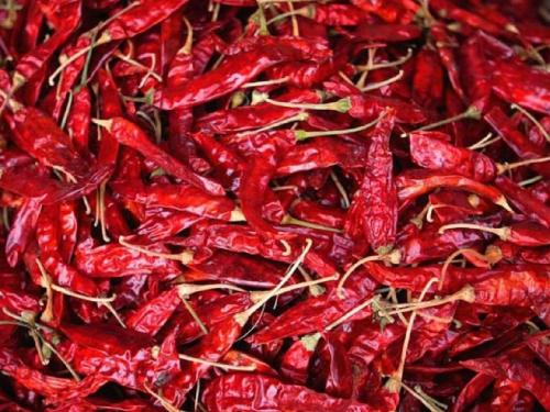 The red pepper is sweet! What caused the prices to fall? | लाल मिरची गोड झाली! कशामुळे पडलेत भाव?