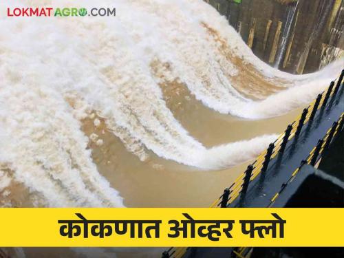 This dam is 100 percent full in Konkan.. read in detail | कोकणात ही धरणे भरली १०० टक्के.. वाचा सविस्तर