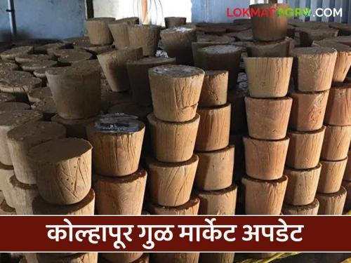 Kolhapur Gul Bajar Bhav : Inward of jaggery increased in Kolhapur Market Committee How is the price going? | Kolhapur Gul Bajar Bhav : कोल्हापूर बाजार समितीमध्ये गुळाची आवक वाढली; कसा मिळतोय दर