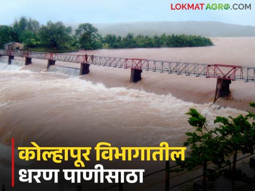 Kolhapur Dam Water : Rainfall stop; How much water is stored in Radhanagari, Tulsi and Warna dams? | Kolhapur Dam Water : पावसाची उघडीप; राधानगरी, तुळशी व वारणा धरणांत किती पाणीसाठा?