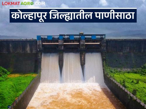 'These' five dams in Kolhapur district are 100 percent full; How much water is stored in the remaining 17 dams? | कोल्हापूर जिल्ह्यातील 'ही' पाच धरणे शंभर टक्के भरली; उरलेल्या १७ धरणांत किती पाणीसाठा?