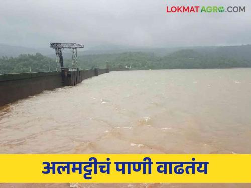 31 check dams under water in Kolhapur district.. Know the water level of major dams | कोल्हापूर जिल्ह्यातील ३१ बंधारे पाण्याखाली.. जाणून घ्या प्रमुख धरणांची पाणीपातळी