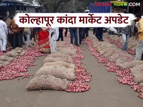 Kanda Bajar Bhav : How much onion was arrival in Kolhapur market committee in last four days and how was the market price | Kanda Bajar Bhav : कोल्हापूर बाजार समितीमध्ये चार दिवसांत कांद्याची किती आवक झाली अन् कसा मिळाला दर