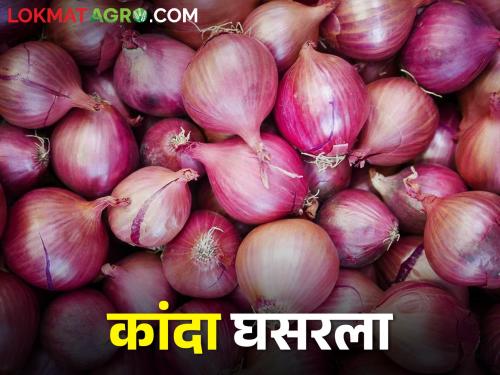 Central government onion exports attitude towards farmers not specific; Will the market boom? | कांदा निर्यातीबाबत केंद्राची धरसोड वृत्ती शेतकऱ्यांच्या मुळावर; बाजारात येईल का तेजी?