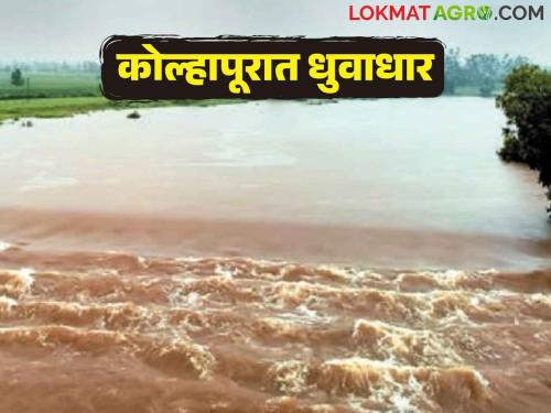 Kolhapur Rain: Read more about 85 dams under water in Kolhapur | Kolhapur Rain: कोल्हापूरात ८५ बंधारे पाण्याखाली वाचा सविस्तर