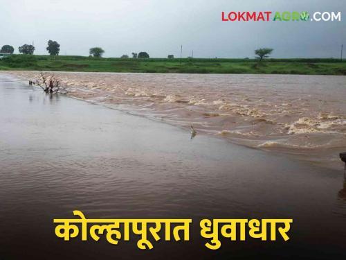 Heavy rains dam area in kolhapur district increased the level of Panchganga river | कोल्हापूर जिल्ह्यात धरण क्षेत्रात अतिवृष्टी पंचगंगेची पातळी वाढली