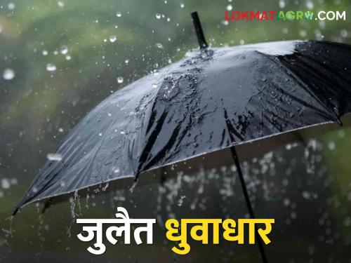 Weather Update: In the first week of July, there is a possibility of heavy rain in this district | Maharashtra Weather Update जुलैच्या पहिल्या आठवड्यात या जिल्ह्यात मुसळधार पाऊस राहण्याची शक्यता