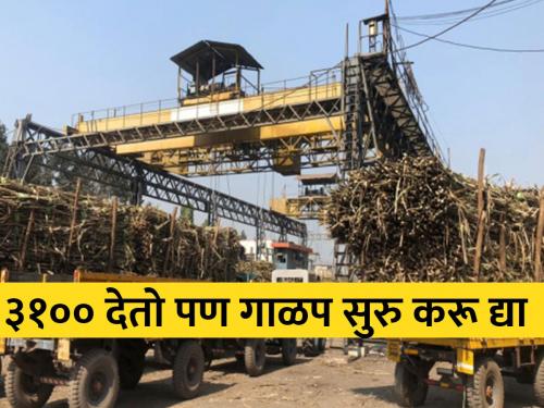 Let the start sugarcane crushing season; Demand for sugar mills in Kolhapur | ऊस गाळप हंगाम सुरू करू द्या; कोल्हापुरातील साखर कारखान्यांची मागणी