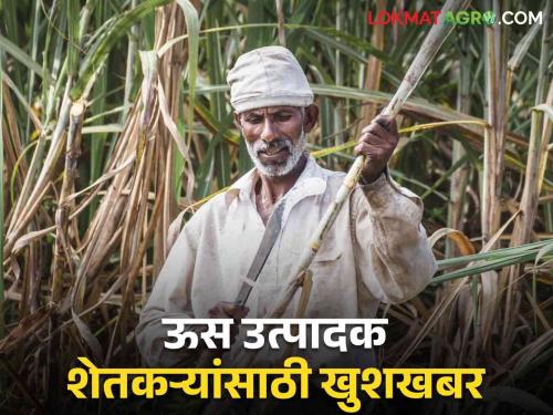 Approval of State Government to pay increased installment of Rs.100 for last sugarcane crushing season | मागील गळीत हंगामातील उसासाठी १०० रुपयांचा वाढीव हप्ता देण्यास राज्य शासनाची मंजुरी