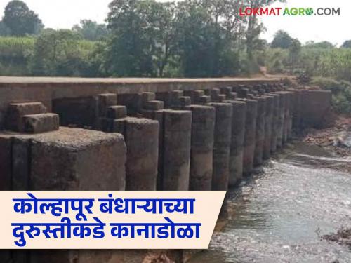 How many hectares of area irrigated from Kolhapuri dam in yavatmal | Kolhapuri Dam : कोल्हापुरी बंधाऱ्यातून किती हेक्टर क्षेत्रावर सिंचन; कोट्यवधींच्या खर्चाचे काय? वाचा सविस्तर