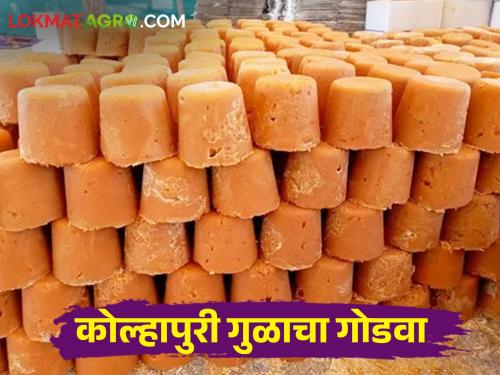 This year the production of 'Kolhapuri jaggery' decreased; Farmers sugarcane to sugarcane factories instead of jaggery production unit | यंदा 'कोल्हापुरी गुळा'चे उत्पादन घटले; शेतकऱ्यांचा ऊस गुऱ्हाळाऐवजी कारखान्यांकडे