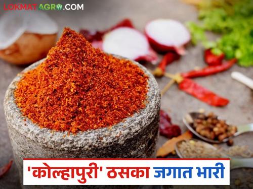 Kolhapuri Masale : Why is Kolhapuri Masala popular? What is its specialty? Read in detail | Kolhapuri Masale : कोल्हापुरी मसाले लोकप्रिय का? काय आहे त्याची खासियत? वाचा सविस्तर