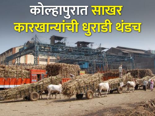 Swabhimani sanghatana movement for sugarcane cutting for sugar factories in kolhapur | स्वाभिमानी’च्या आंदोलनाचा धसका, अंदाज घेऊनच ऊसतोडी देणार