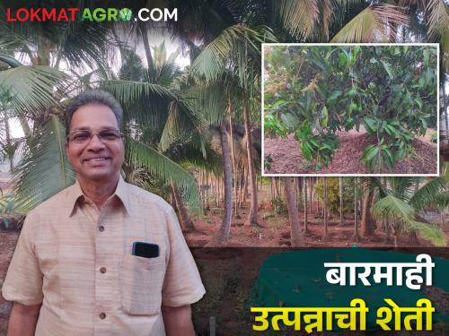 left government jobs and husband and wife indulged in agriculture; cultivation of different fruit crops | शासकीय नोकऱ्या सोडल्या अन् नवरा बायको रमले शेतीत; फुलवल्या फळबागा