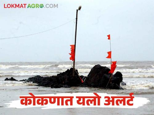 Maharashtra Weather Update : yellow alert till 1st November in this district in Konkan area read in detail | Maharashtra Weather Update : कोकणात या जिल्ह्यात १ नोव्हेंबर पर्यंत यलो अलर्ट वाचा सविस्तर