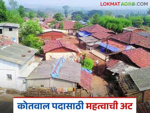 Latest news Now this condition is mandatory for appointment to post of Revenue Servant Kotwal read in detail | आता महसूल सेवक (कोतवाल) पदावर नियुक्तीसाठी 'ही' अट बंधनकारक, वाचा सविस्तर