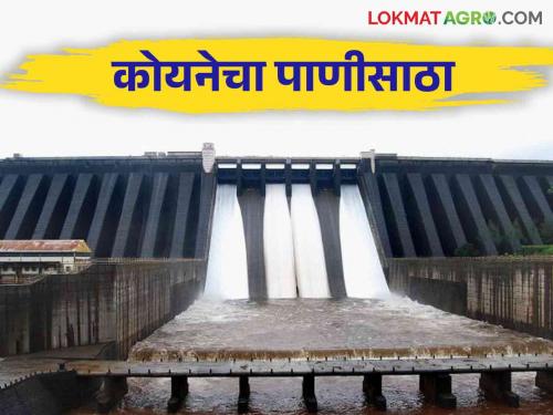 Koyna Dam Water Level : How much water has come in Koyna Dam in the last 24 hours How much water is there? | Koyna Dam Water Level : कोयना धरणात मागील २४ तासांत आलं इतकं पाणी.. झाला किती पाणीसाठा