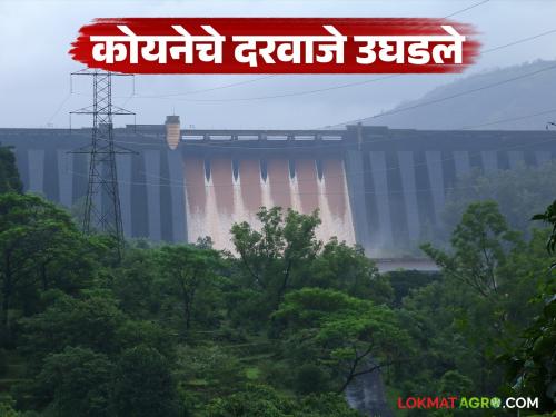Six curved gates of Koyna Dam opened; Alert issued to people living along the riverbanks | कोयना धरणाचे सहा वक्र दरवाजे उघडले; नदीकाठच्या लोकांना सतर्कतेचा इशारा
