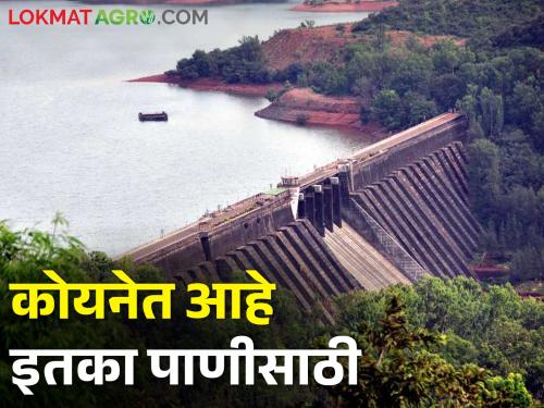Satara district dams continuously decrease water level; Drought is coming | सातारा जिल्ह्यात धरणं गाठतायत तळ; बसतेय दुष्काळी झळ