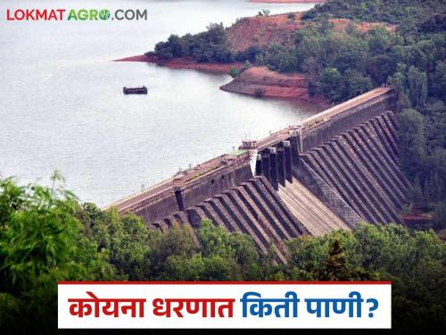 Rapid increase in water storage in Koyna Dam; How much water is stored in the dam? | कोयना धरणातील पाणीसाठ्यात झपाट्याने वाढ; धरणात झाला किती पाणीसाठा?