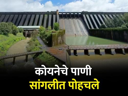 Three TMC of water will be released from Koyna dam to Sangli | कोयनेतून सांगलीला तीन टीएमसी पाणी सोडणार