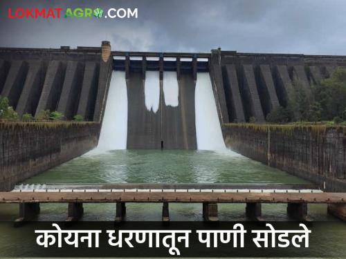 Another release from Koyna dam is 1050 cusecs | कोयना धरणातून पुन्हा १०५० क्युसेकने विसर्ग