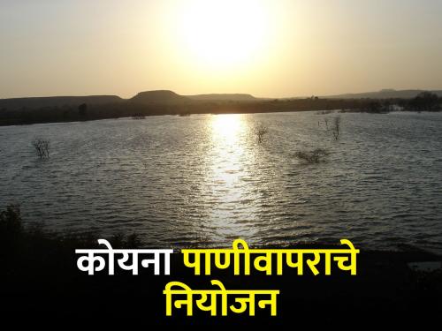 12 TMC of water for power generation in Koyna dam reserved for drinking, irrigation | कोयनेतील वीजनिर्मितीसाठीचे १२ टीएमसी पाणी पिण्यासाठी, सिंचनासाठी आरक्षित