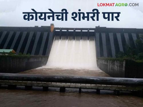 Koyna Dam Water Level: The water level of Koyna Dam has reached 100 TMC | Koyna Dam Water Level : कोयना धरणाचा पाणीसाठा गेला शंभर टीएमसीवर