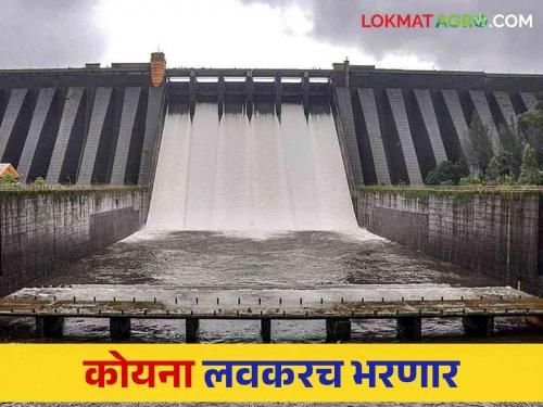 Koyna Dam Water Level: The water level of Koyna has increased, only so much TMC water is needed to fill the dam | Koyna Dam Water Level: कोयनेची पाणीपातळी वाढली धरण भरण्यास फक्त इतक्या टीएमसी पाण्याची गरज