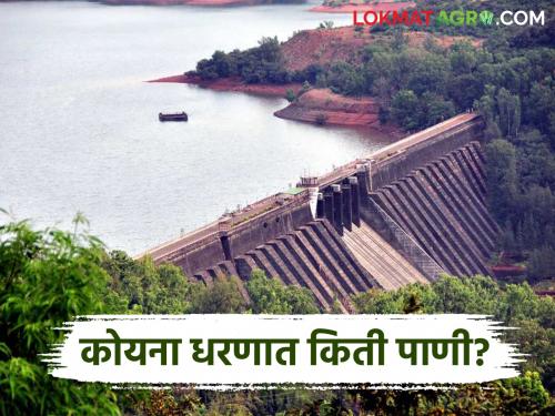 Water inflow into dams increased due to unseasonal rains; How much water is in Koyna Dam? | अवकाळी पावसामुळे धरणांत पाण्याची आवक वाढली; कोयना धरणात किती पाणी?