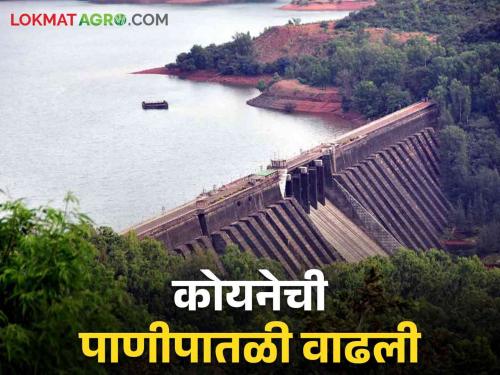 Koyna Dam Water: How much TMC water has come into Koyna Dam in the last 22 days | Koyna Dam Water: कोयना धरणात मागील २२ दिवसांत आलं किती टीएमसी पाणी