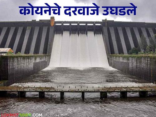 Koyna Dam Water Level : As water inflow increased in Koyna Dam, the six gates of the dam were opened by one foot | Koyna Dam Water Level : कोयना धरणात पाण्याची आवक वाढल्याने धरणाचे सहा दरवाजे एक फुटाने उचलले