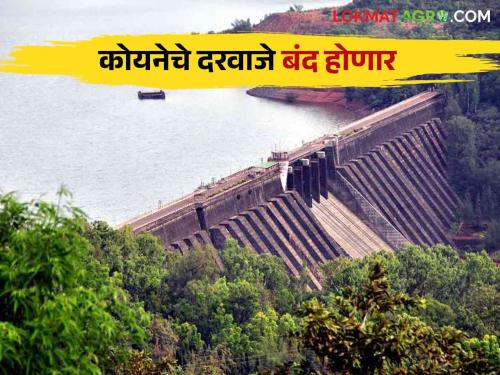 Koyna Dam Water Level : The gates of Koyna Dam will be closed How much TMC water storage in the dam | Koyna Dam Water Level : कोयना धरणाचे दरवाजे बंद होणार धरणात किती टीएमसी पाणीसाठा