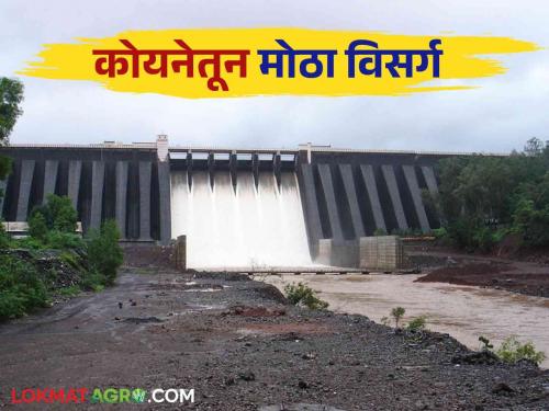 Koyna Dam: The six curved gates of the Koyna Dam were lifted by another one and half foot | Koyna Dam: कोयना धरणाचे सहा वक्री दरवाजे आणखी दीड फुटाने उचलले