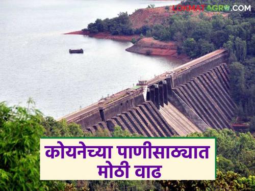 Koyna Dam has four times the water level compared to last year; What percentage of water has been stored in the dam? | कोयना धरणात गतवर्षापेक्षा चौपट पाणी; धरणात झाला किती टक्के पाणीसाठा?