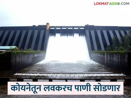 Koyna Dam water level increases significantly; Dam gates will open soon | कोयना धरणाच्या पाणी पातळीत मोठी वाढ; लवकरच धरणाचे दरवाजे उघडणार